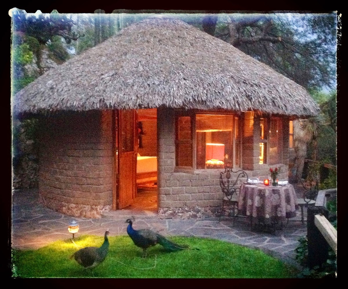 Hotel Nirvana – Restaurante & Spa en San Miguel de Allende